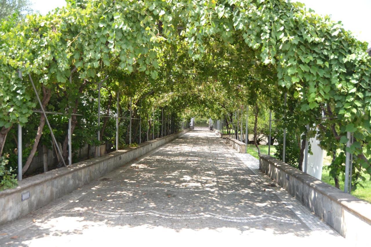 索姆马韦苏维亚纳I Giardini Del Vesuvio别墅 外观 照片