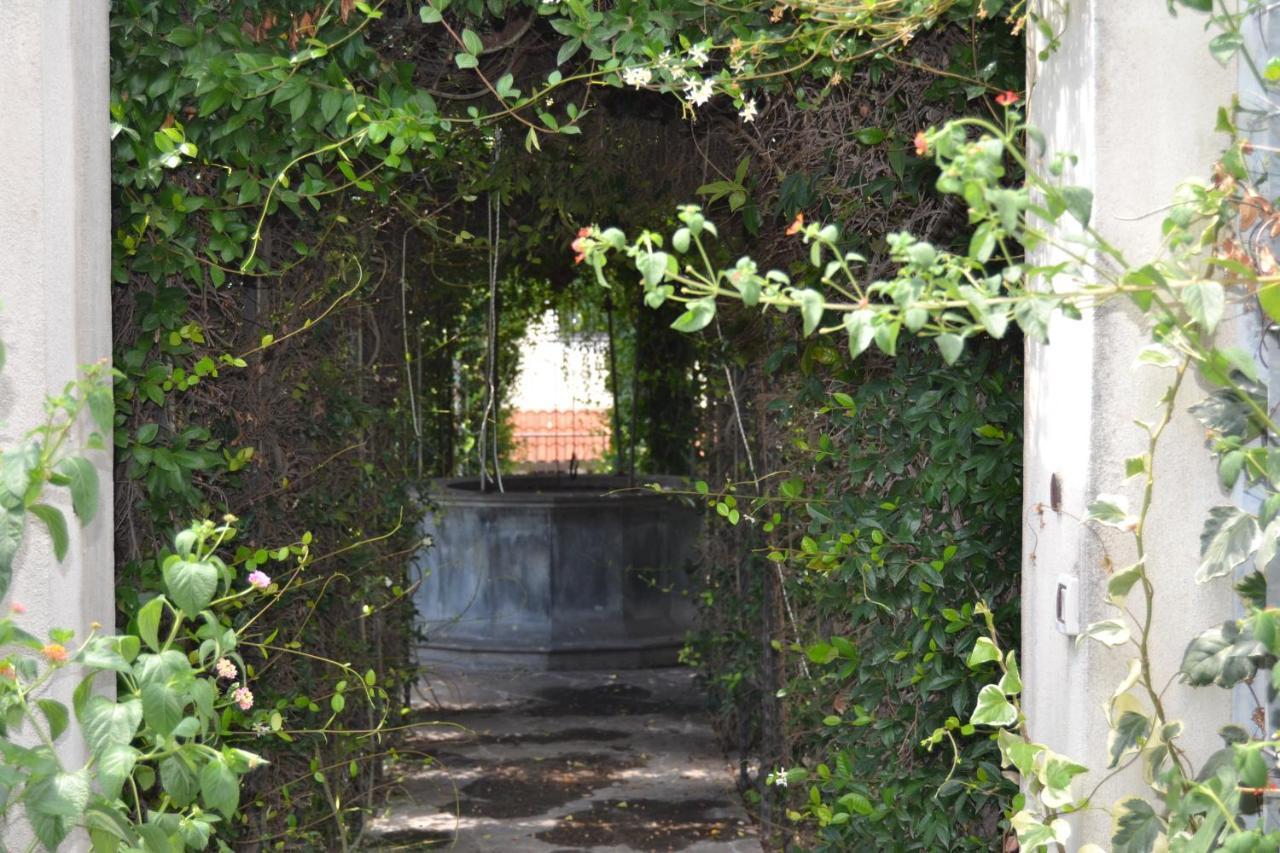 索姆马韦苏维亚纳I Giardini Del Vesuvio别墅 外观 照片